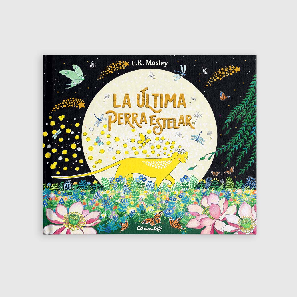 Nuevos Productos Editorial Corimbo