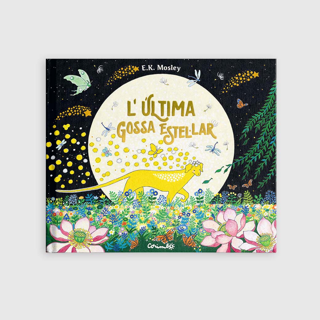 Nuevos Productos Editorial Corimbo