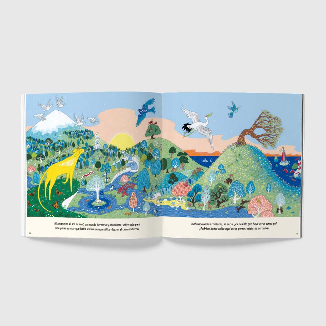 Nuevos Productos Editorial Corimbo